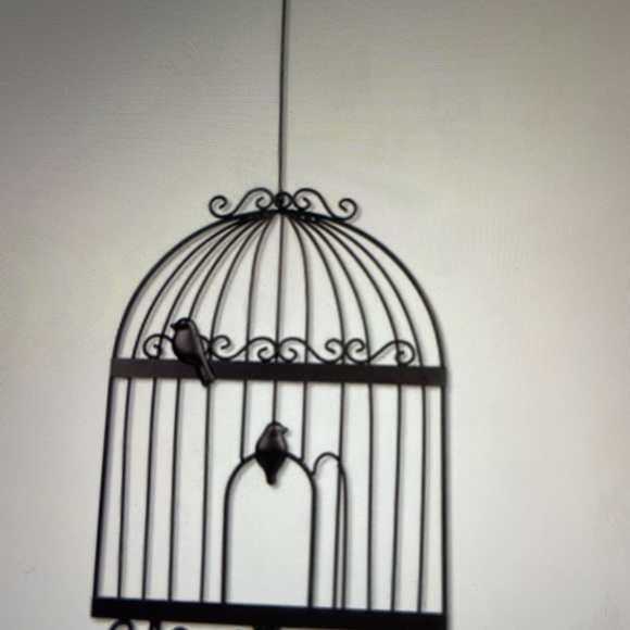 Beautiful Bird Cage (One Dimensional) Wall Art by PLASTEC - Picture 3 of 8